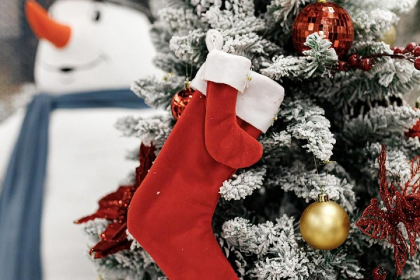 Единый центр поддержки подготовил предновогоднюю программу для участников СВО