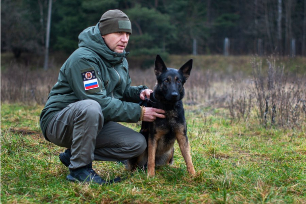 Кинологический центр совместно с зеленоградской ветклиникой готовит служебных собак для работы в зоне СВО