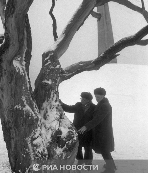 Как знаменитый «Алёша» Крюково защищал