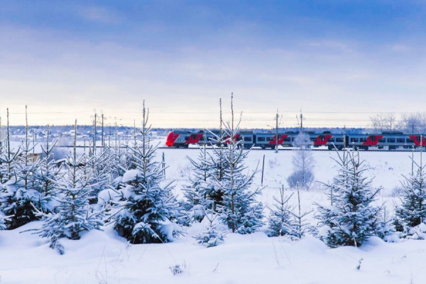 На Ленинградском направлении изменится расписание пригородных поездов