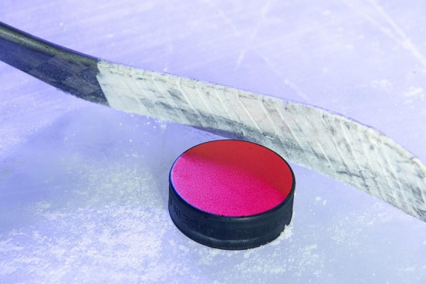 5 декабря на катке имени Харламова состоится мастер-класс от звезд хоккея