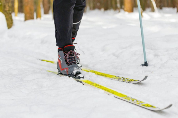 Искусственное оснежнение лыжероллерной трассы в Зеленограде может начаться с выходных