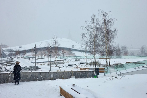 Мощный снегопад и сильный ветер ожидаются в Москве