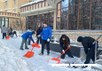 Вчера активисты «Молодой Гвардии» Зеленограда снова вышли на зимний субботник