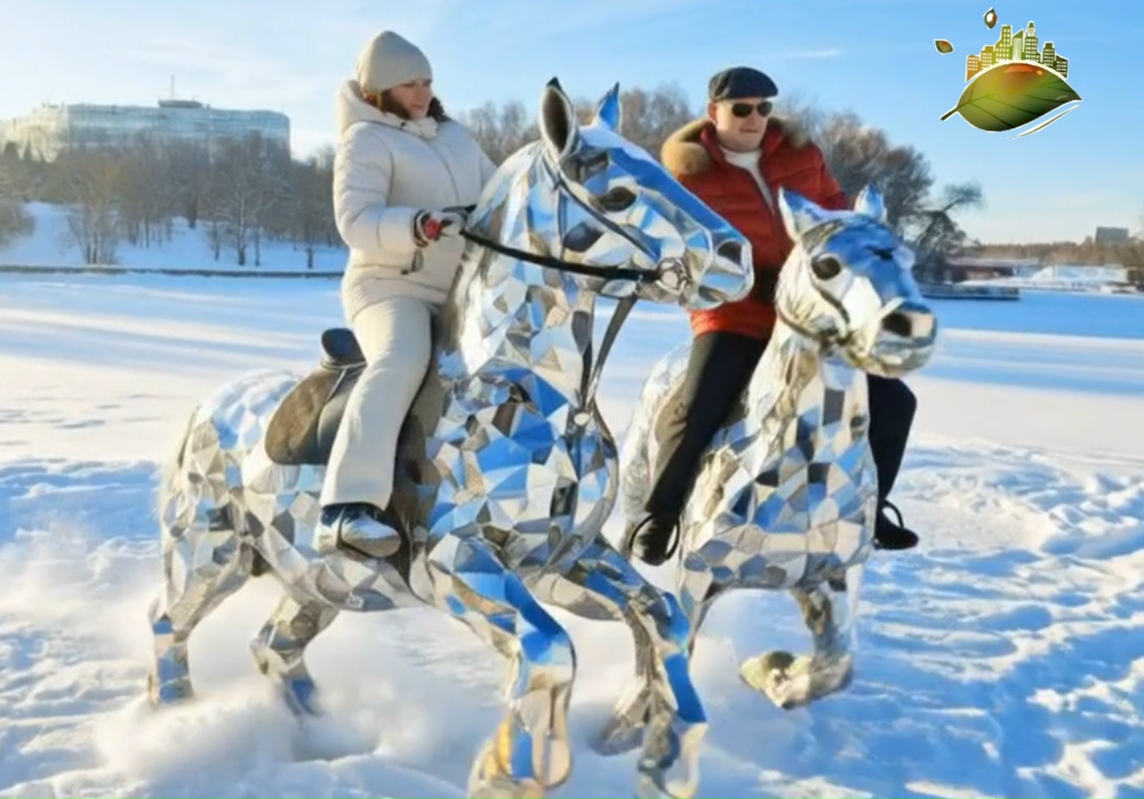 новости зеленограда, Загадка куда делись серебристые белки - происшествие в нашем городе Загадка куда делись серебристые белки - происшествие в нашем городе, зеленоград инфо